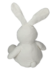 Belle the Bunny